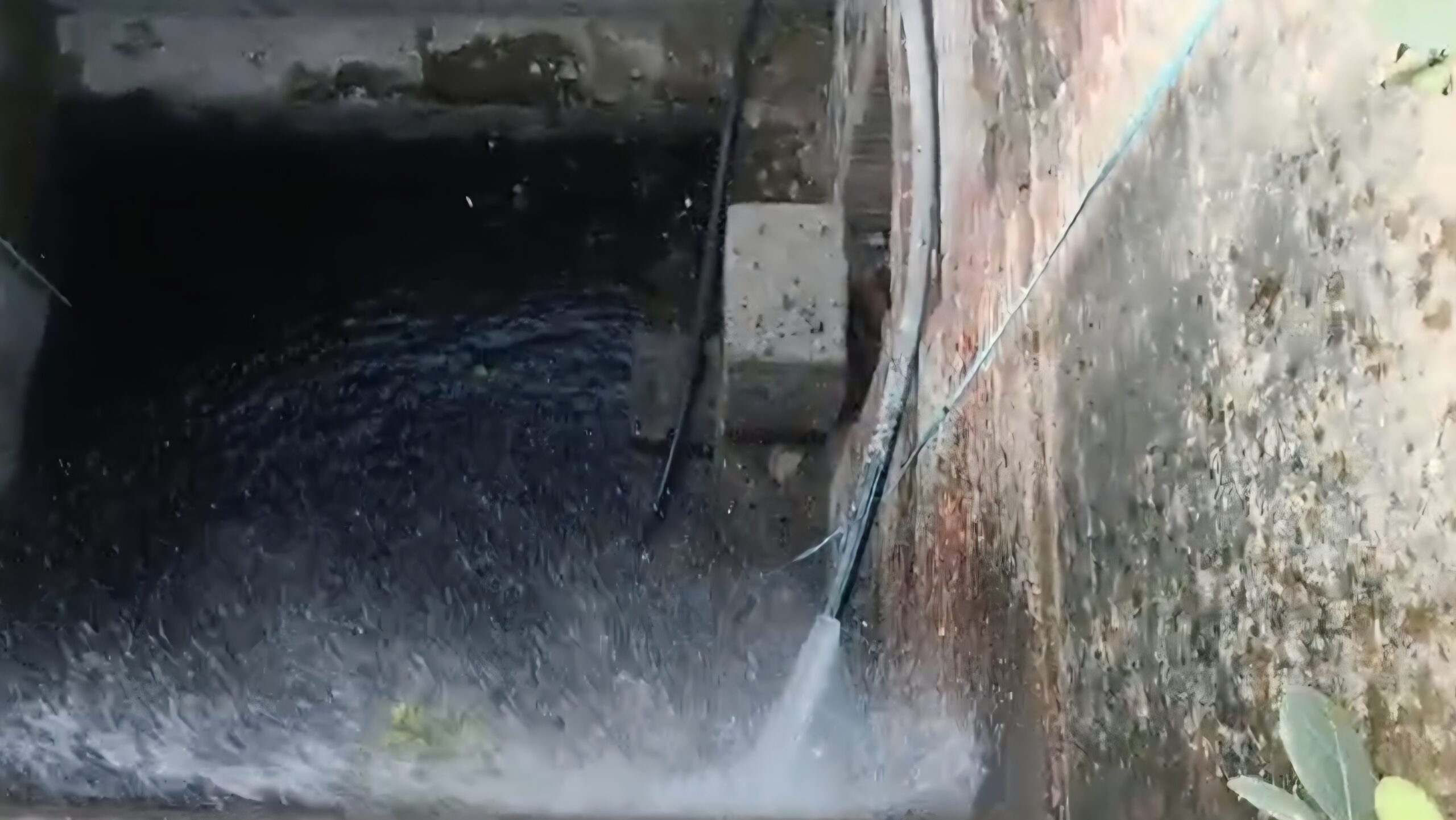 Screenshot 20260216 132620 Gallery scaled